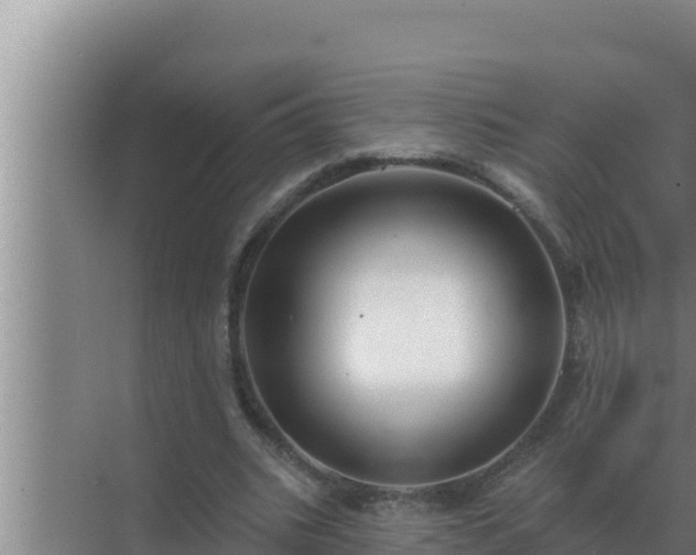 X0000072940535200607282206