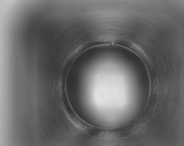 X0000072940538200607282206