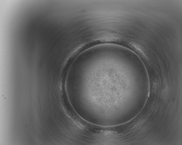 X0000072940539200607282206