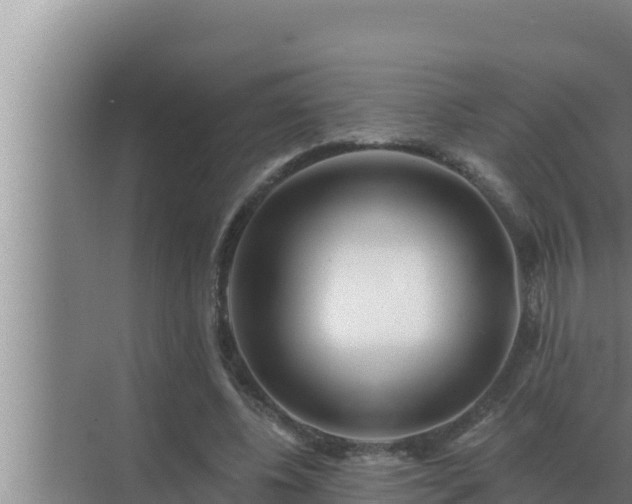 X0000072940540200607282206