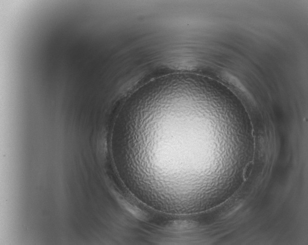 X0000072940541200607282206