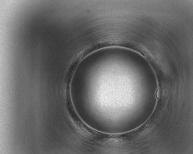 X0000072940542200607282206