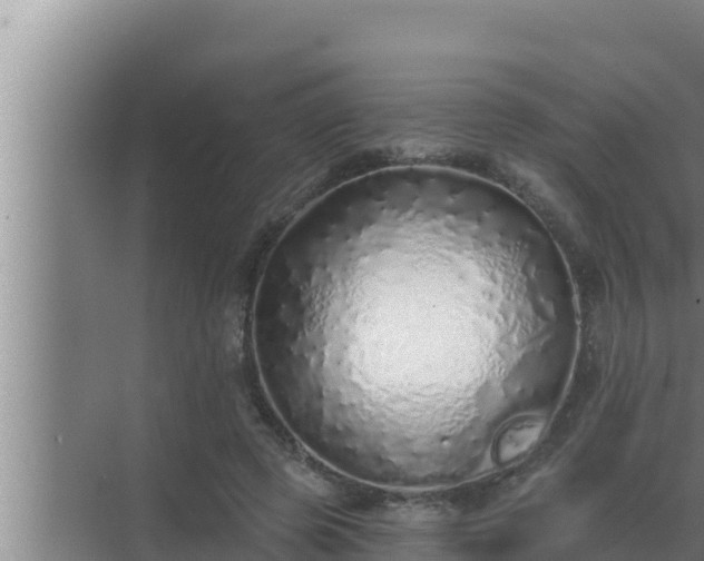 X0000072940545200607282206