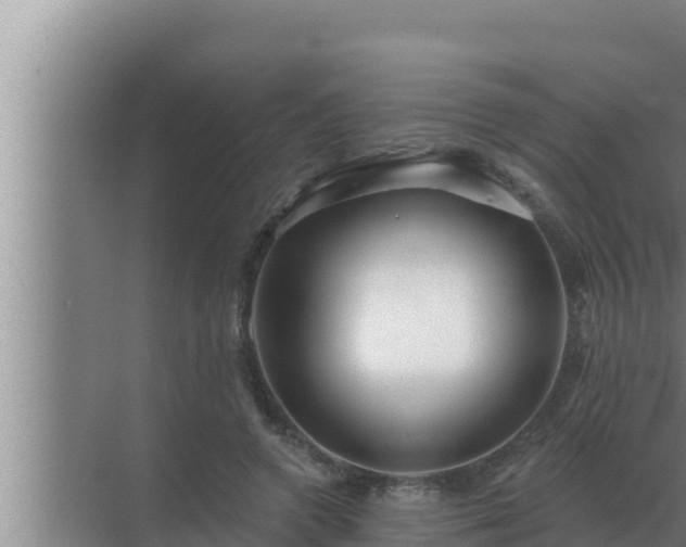 X0000072940546200607282206