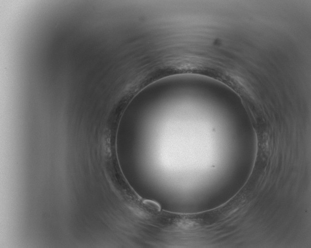 X0000072940547200607282206