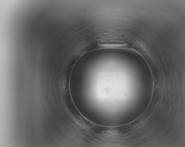 X0000072940548200607282206