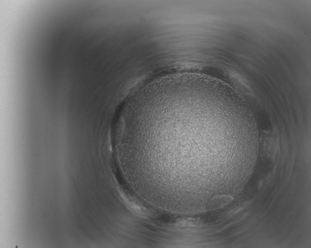 X0000072940550200607282206