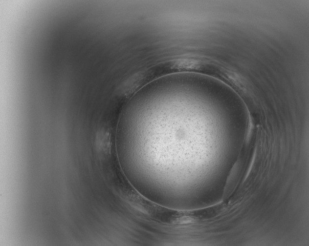 X0000072940551200607282206