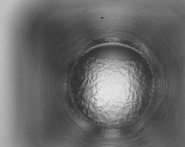 X0000072940553200607282206