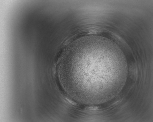 X0000072940554200607282206