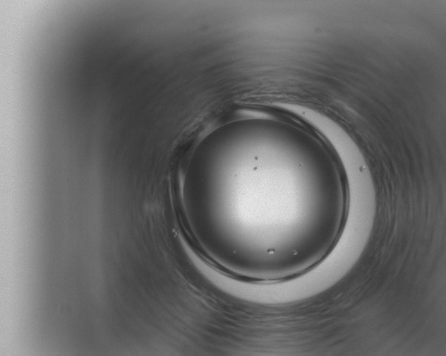 X0000072940556200607282206