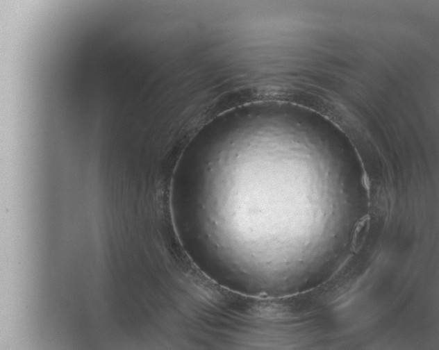 X0000072940557200607282206