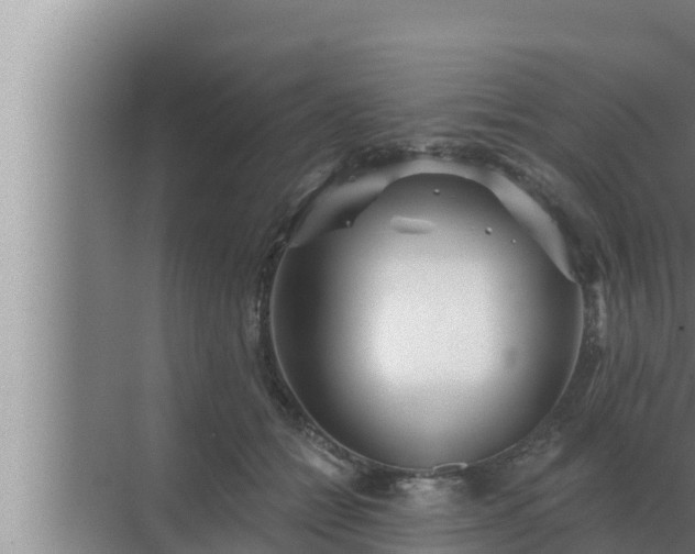 X0000072940558200607282206