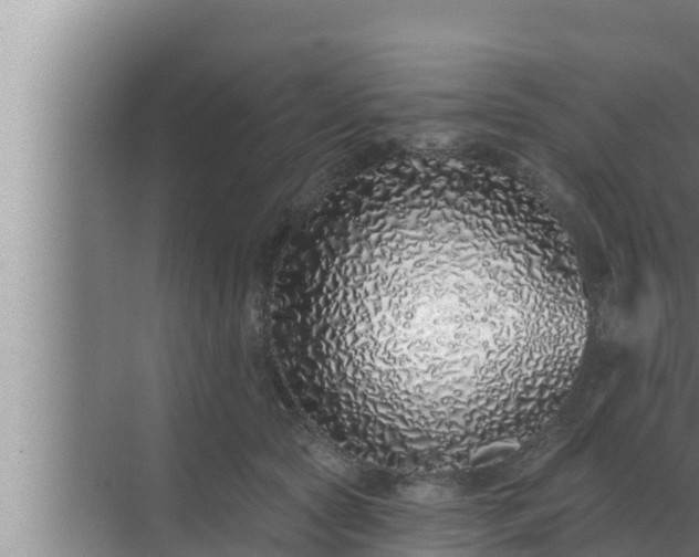 X0000072940561200607282206