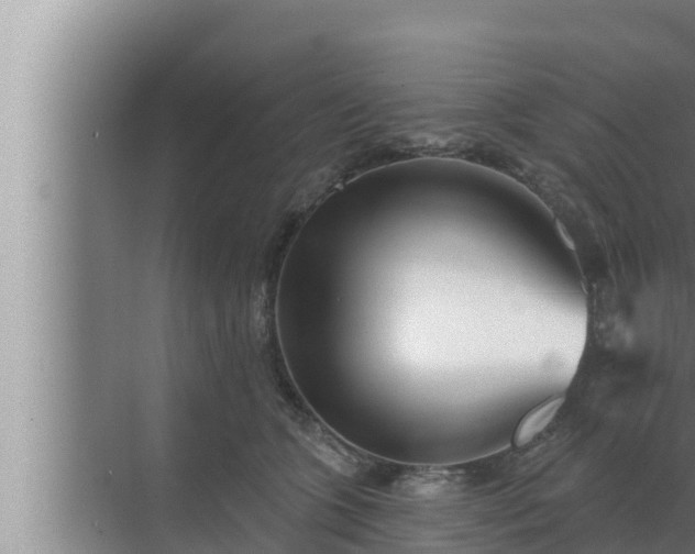 X0000072940563200607282206