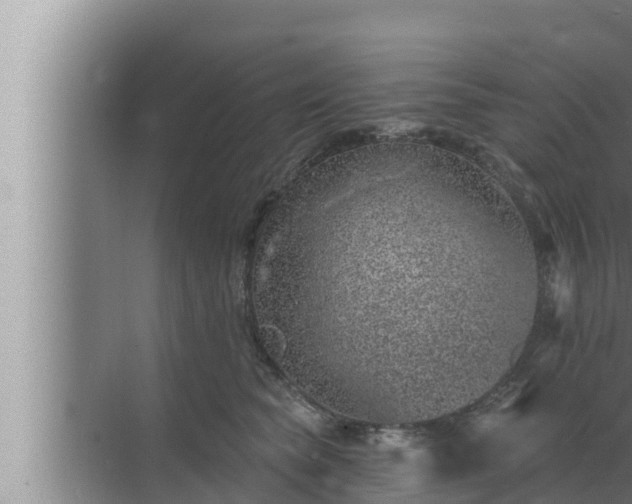 X0000072940565200607282206