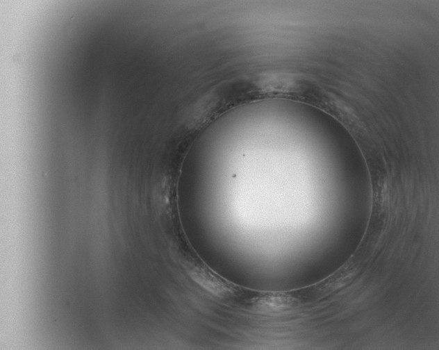 X0000072940567200607282206