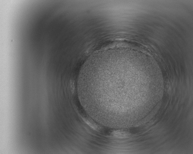 X0000072940568200607282206