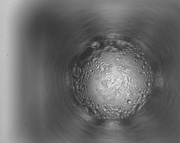 X0000072940569200607282206