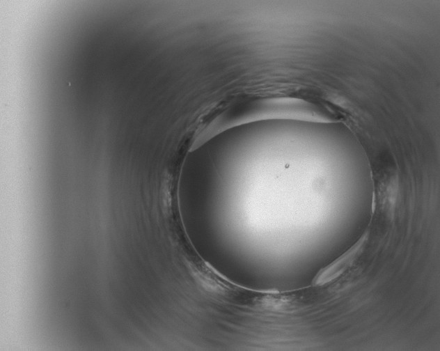 X0000072940570200607282206