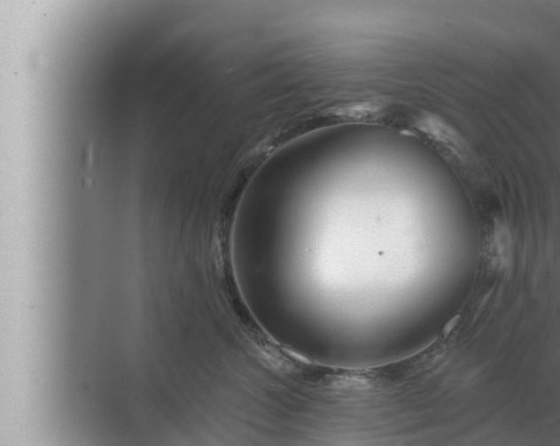 X0000072940572200607282206