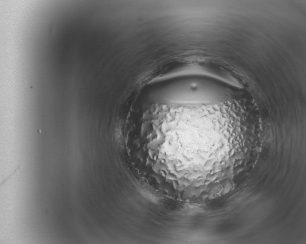 X0000072940573200607282206