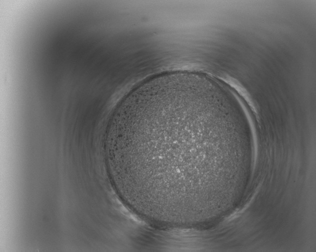 X0000072940577200607282206