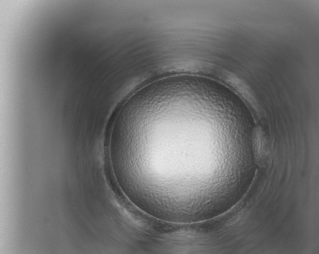 X0000072940578200607282206