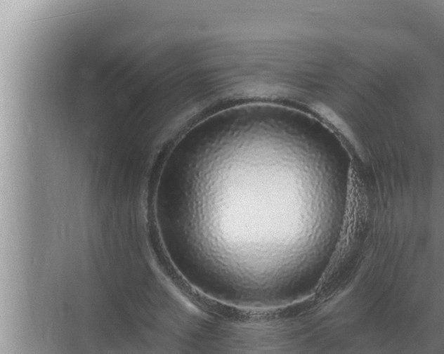 X0000072940581200607282205