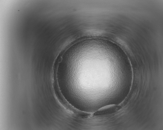 X0000072940582200607282205