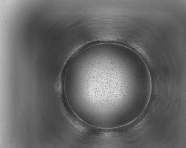 X0000072940584200607282205