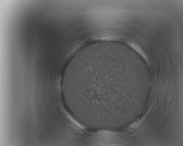 X0000072940585200607282205