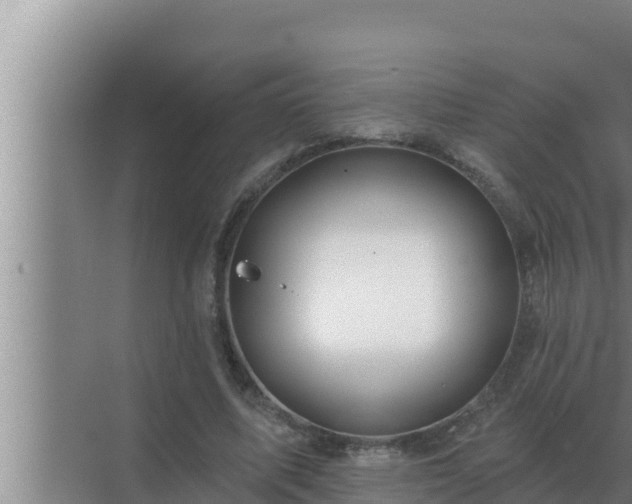 X0000072940587200607282205