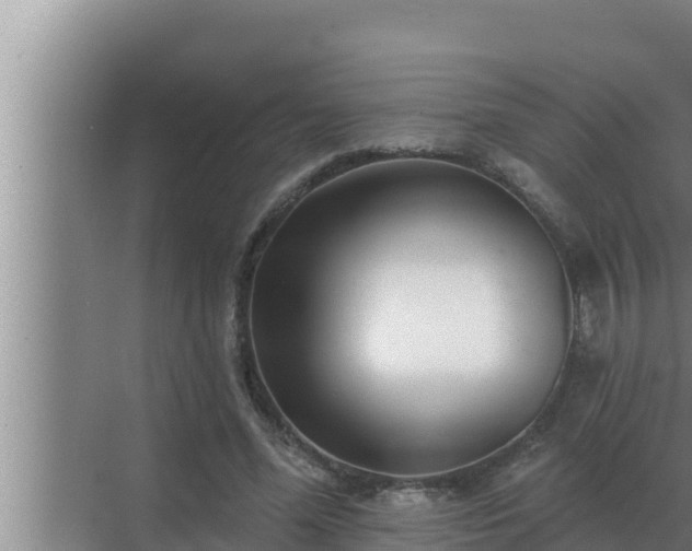 X0000072940588200607282205