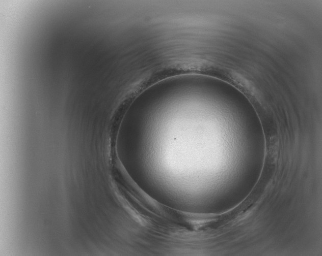 X0000072940589200607282205