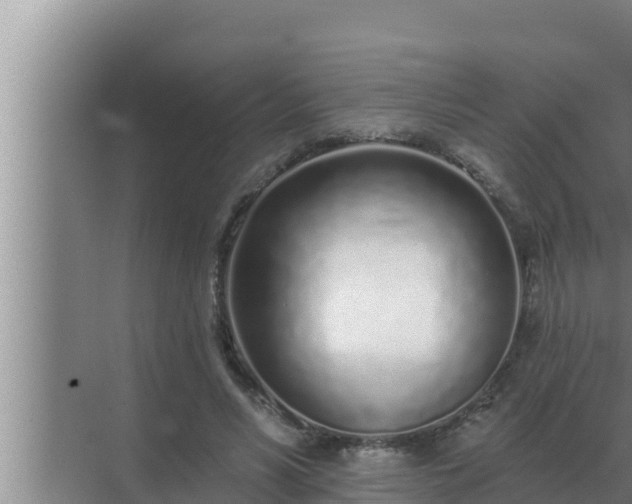 X0000072940590200607282205