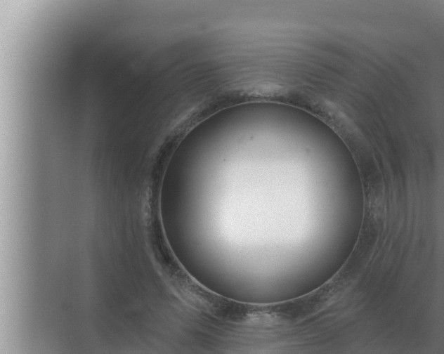 X0000072940591200607282205