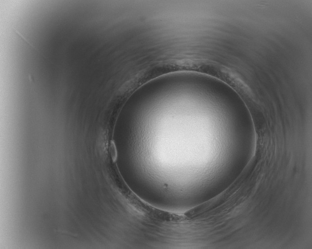 X0000072940593200607282205