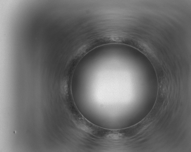 X0000072940595200607282205