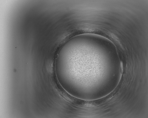 X0000072940596200607282205