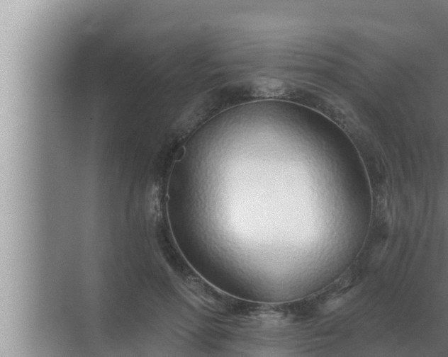 X0000072940598200607282205