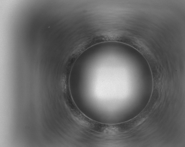 X0000072940599200607282205