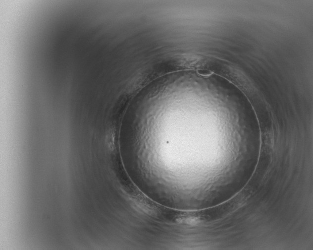 X0000072940602200607282205