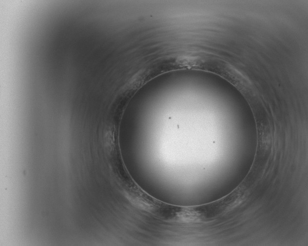 X0000072940603200607282205