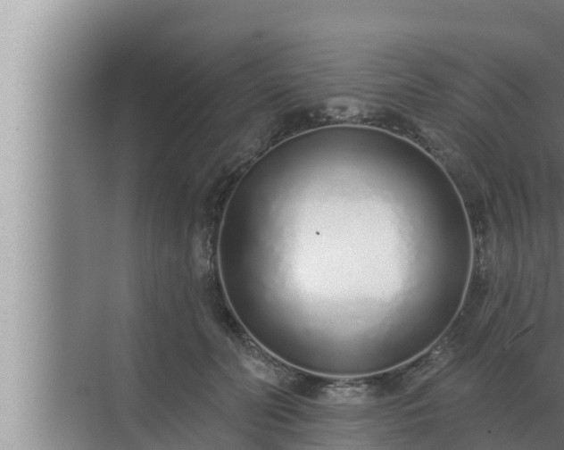 X0000072940606200607282205