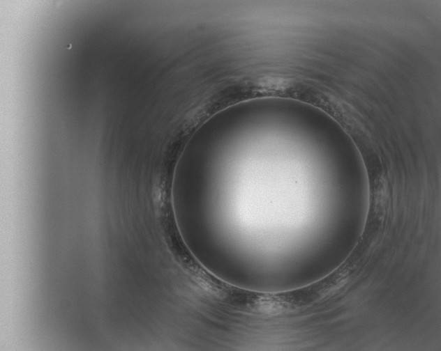 X0000072940608200607282205