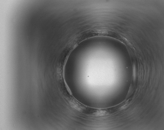 X0000072940609200607282205