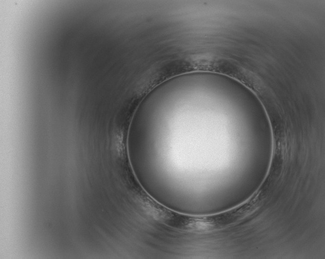 X0000072940610200607282205