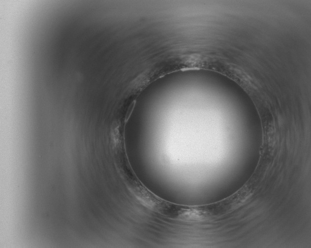 X0000072940611200607282205