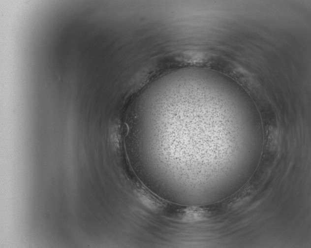 X0000072940612200607282205